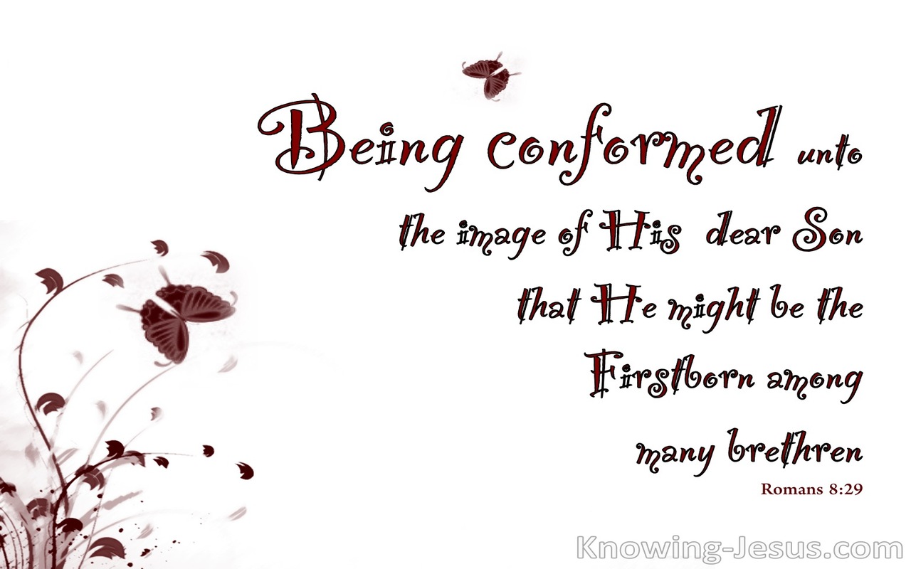 Romans 8:29 Conformed Into The Image Of Christ (maroon)